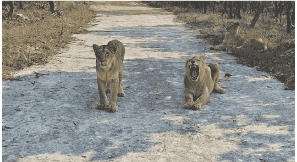 Images Gallery of Rajgir Ticket Booking