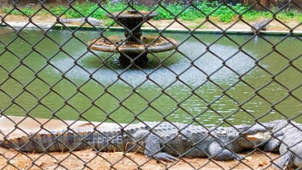 Lucknow Zoo Ticket Price