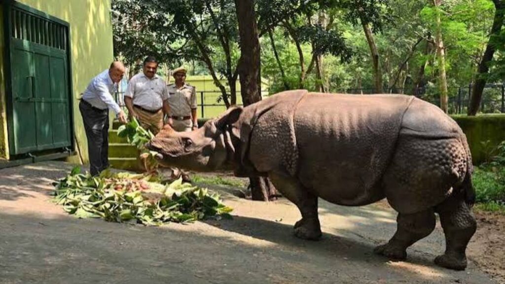 Patna Zoo Ticket Price
