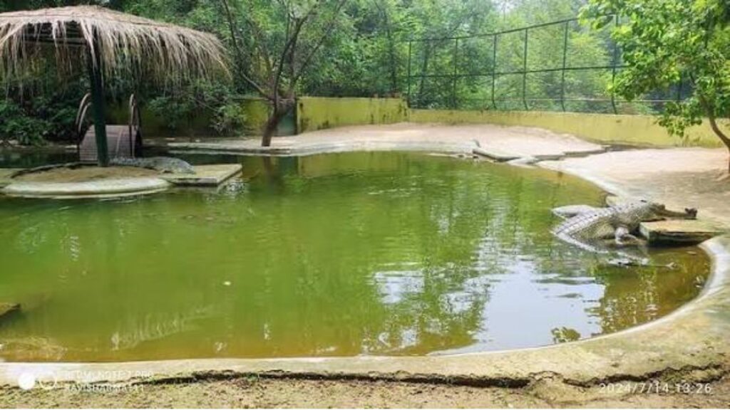 Patna Zoo Ticket Price