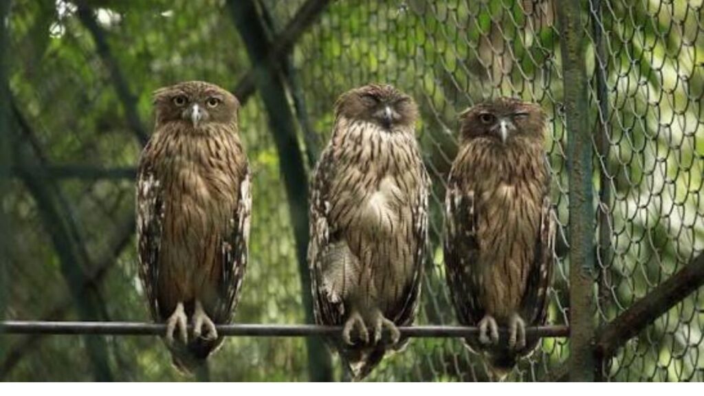 Puthur Zoological Park