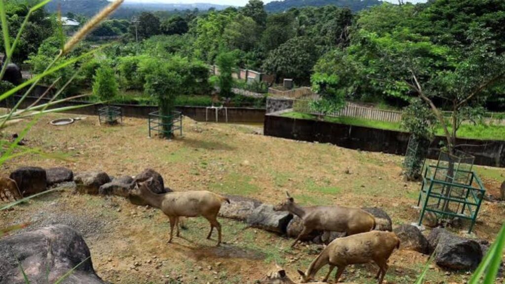 Puthur Zoological Park